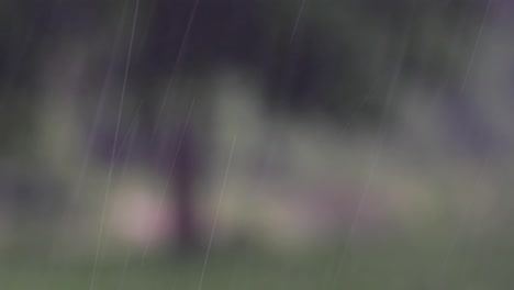 rain comes in the jungle anytime and one must enjoy the most out of it