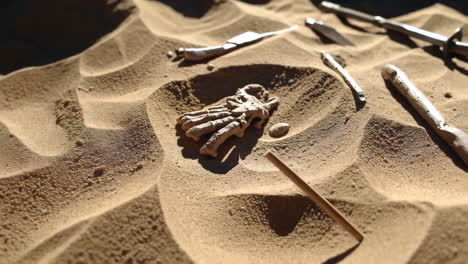 fossil hand in sand