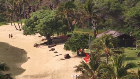 hanauma bay, the beach in a sunny day, hawaii kai neighborhood of east honolulu, oahu