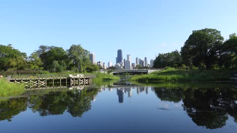 chicago skyline from a distance on a summer sunny day