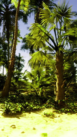 tropical landscape with lush palm trees and sandy shore under bright sunlight