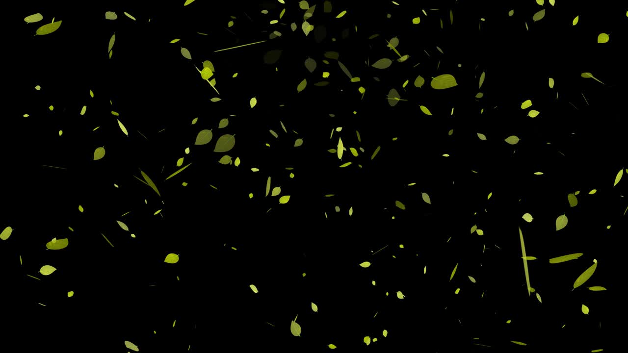 노란 잎, 가을 잎, 떨어지는 입자, 모션 그래픽