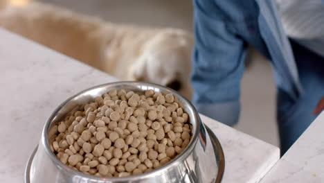 Sección-Media-De-Una-Mujer-Birracial-Preparando-Comida-Para-Perros-En-Casa,-Cámara-Lenta