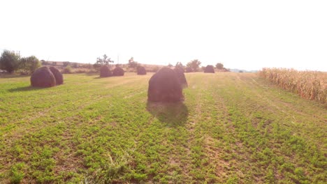 balas de heno en un campo