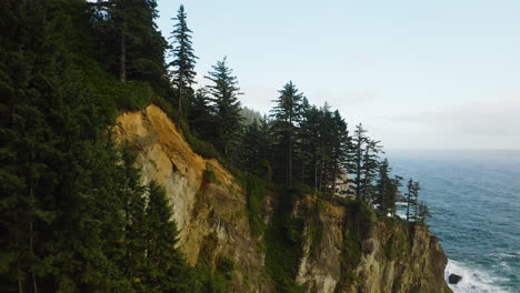 flight through evergreen forest on rugged oregon coast over pacific ocean