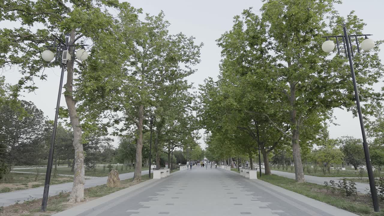 나무 로 둘러싸인 공원 길