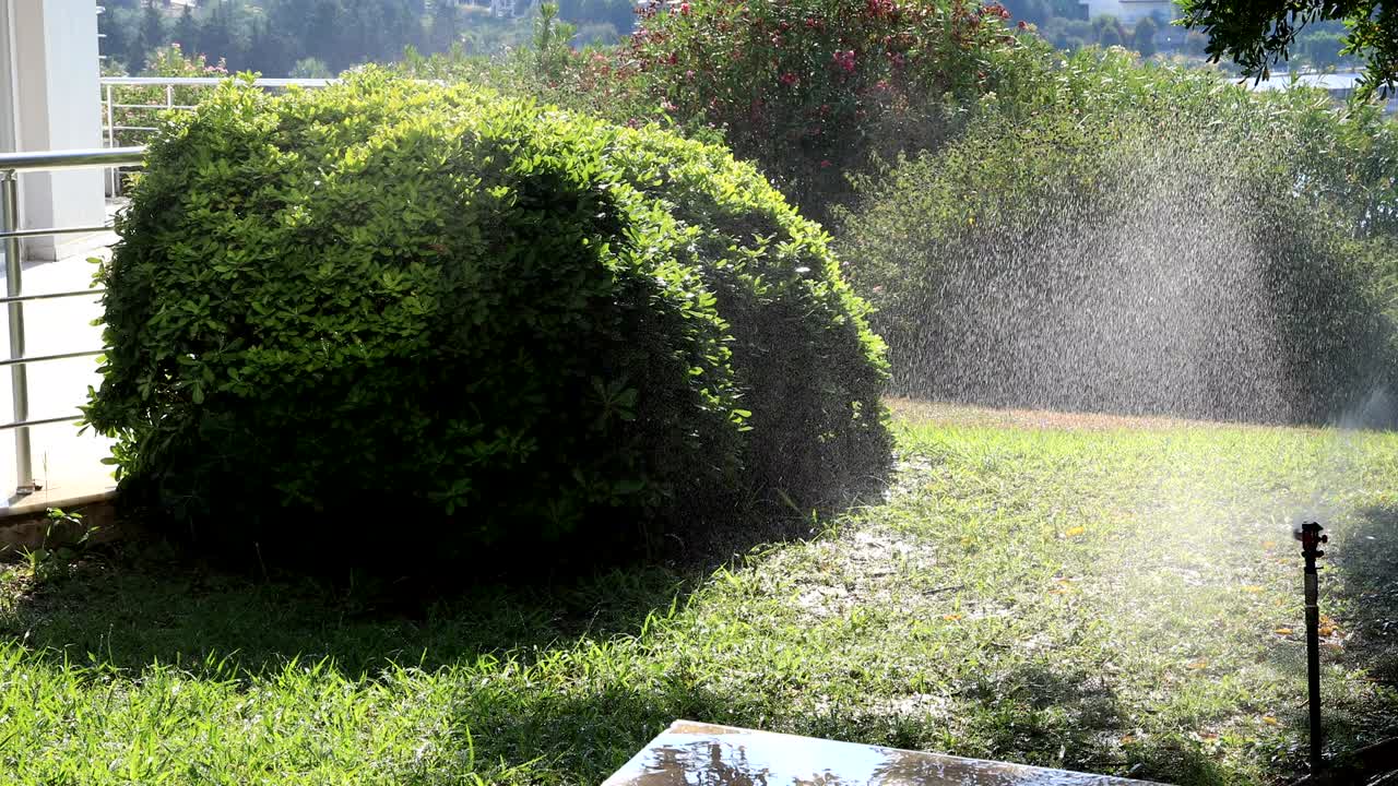 은 여름날에 초록색 잔디에 물을 주면서 정원 스프링클러