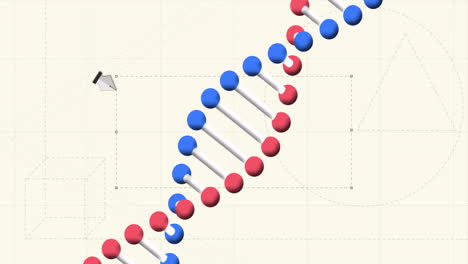 animation of cutout and dna strand over beige background