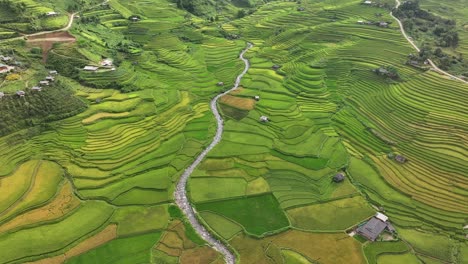 aerial view of rice terraces field in mu cang chai, vietnam