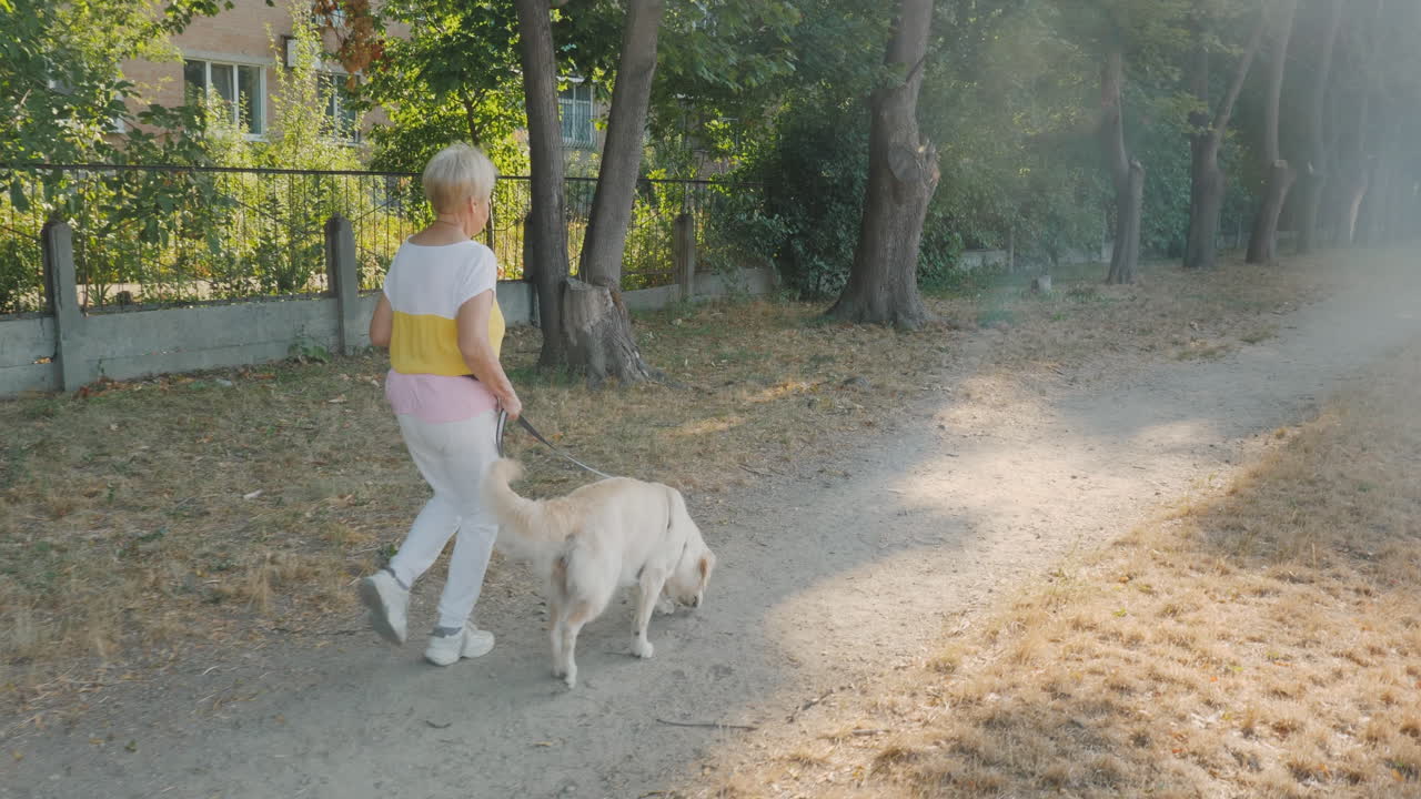 공원에서 개를 산책시키는 여자