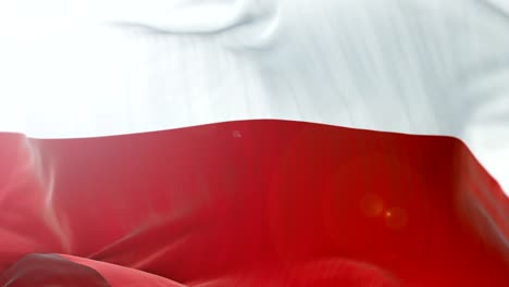 poland flag slow waving background. 4k close up flag waving. seamless loop