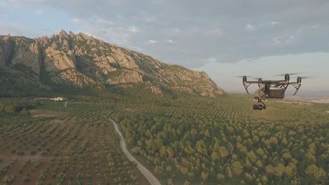 drone professionale riprese paesaggio montano e forestale, aereo