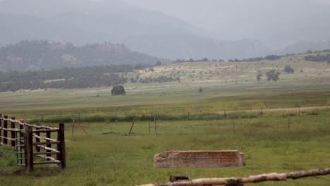 Sommer-Colorado-Weide-Zaun-Gras-Weht-Im-Wind