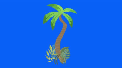árbol de palma moviéndose por el viento, clave de croma, animación de bucle sin costuras