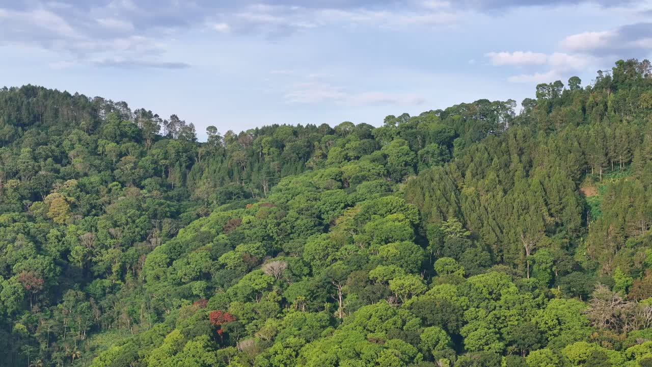Stunning aerial panorama of a tropical rainforest landscape covered in lush green vegetation under bright daylight