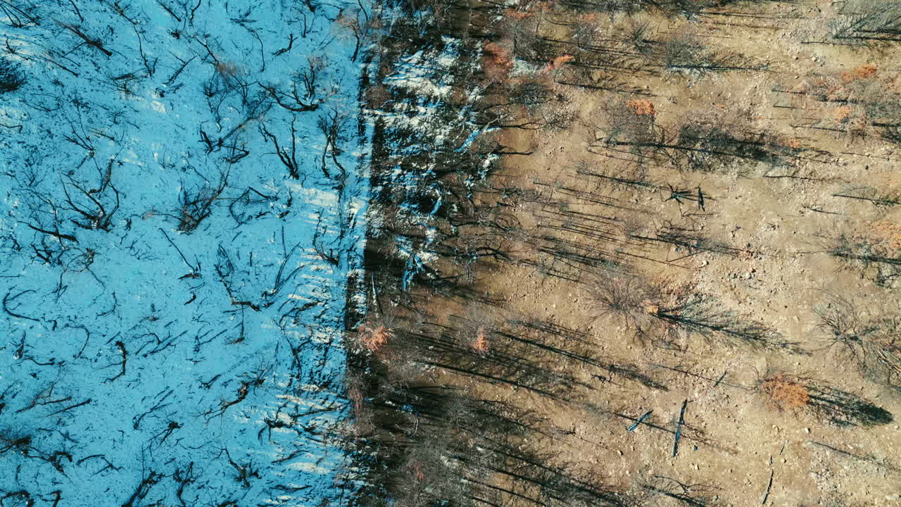 Aerial view contrast of snow-covered forest meets dry, barren land in Argentina, Environmental Impact