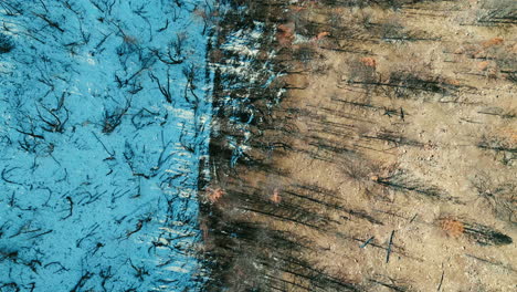 aerial view contrast of snow-covered forest meets dry, barren land in argentina, environmental impact