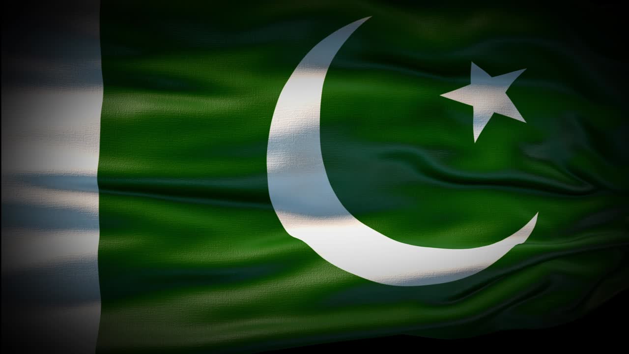 Animatie Pakistaanse vlag wappert naadloze lus. Pakistaanse vlag wapperend in de wind. Realistische 4K nationale vlag van Pakistan Close-up