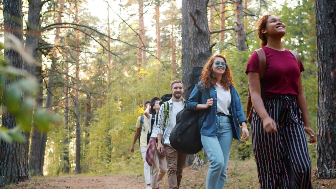 amigos haciendo senderismo en un bosque.