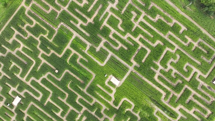 Maze labyrinth in nature