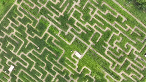 laberinto de laberinto en la naturaleza