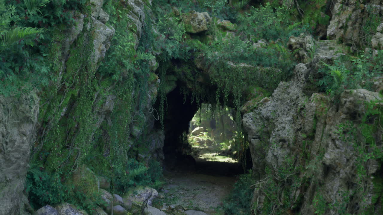 Natural cave entrance surrounded by lush greenery in a secluded forest