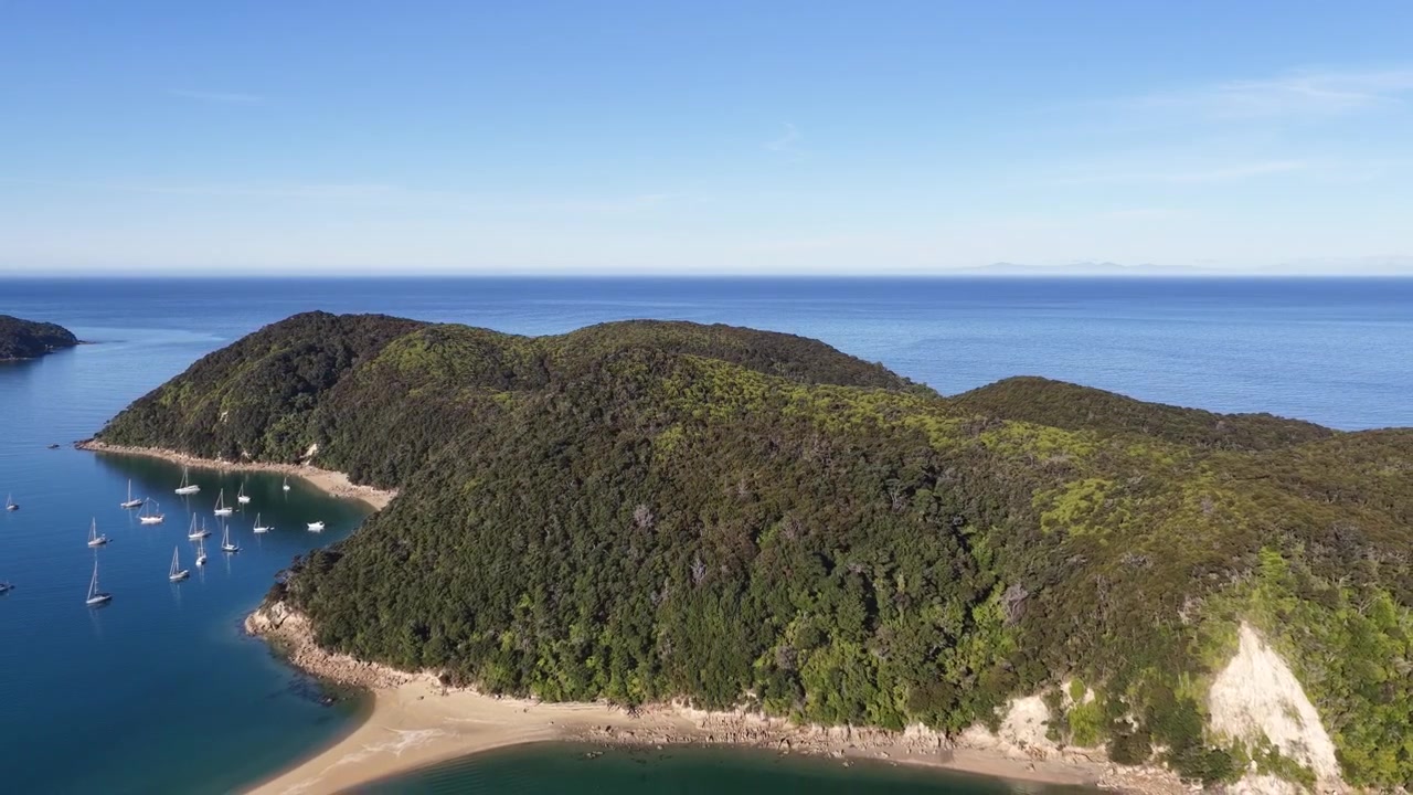 Riprese drone di una penisola boscosa che si estende in acque limpide e blu nell'Isola del Sud della Nuova Zelanda. Paesaggio costiero panoramico caratterizzato da vegetazione autoctona e baie riparate.