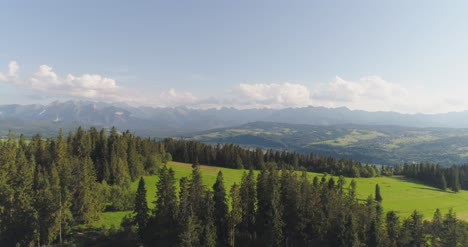 flying over the beautiful forest trees landscape panorama 40