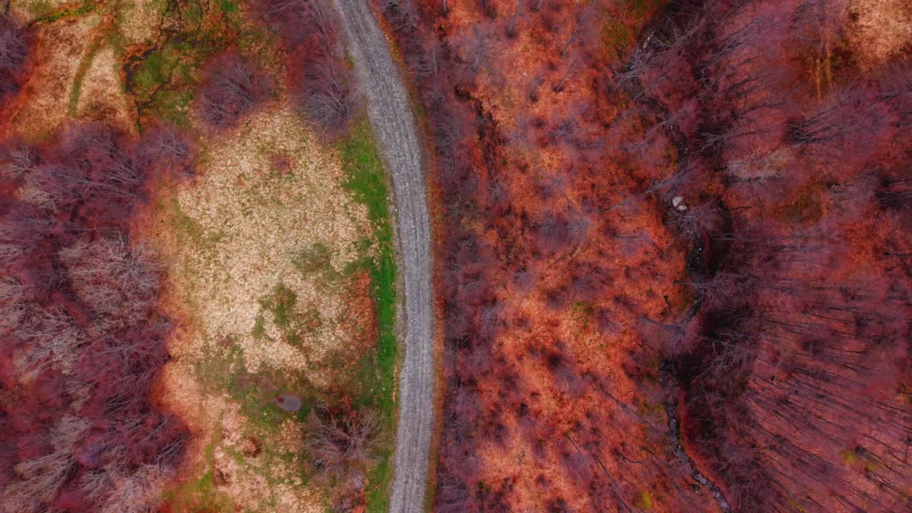 Winding trail through autumn forest in the Dolomites, aerial view from above