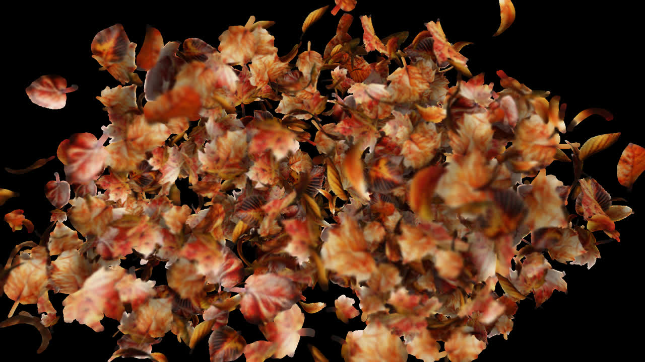 Autumn Leaves Burst Element on Transparent Background