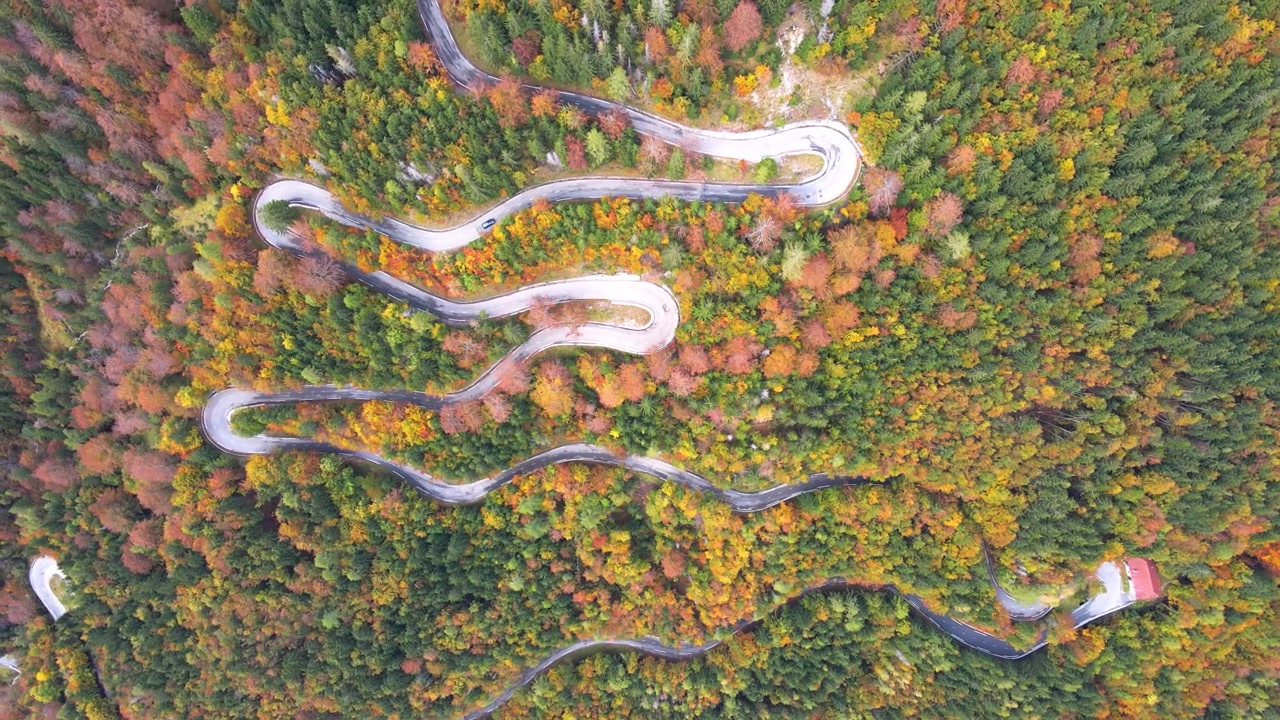 Ascending top-down view of Vršič Pass winding mountain road surrounded by vibrant foliage, Slovenia