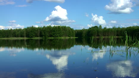 Beautiful-forest-lake-with-calm-water-in-pine-forest.-Wonderful-landscape