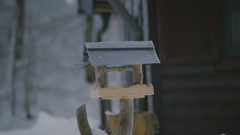 Small-bird-fighting,-flying,-searching,-and-eating-food-in-a-birdhouse-in-winter-with-nature-covered-in-snow-captured-in-slow-motion-in-120fps-in-4k