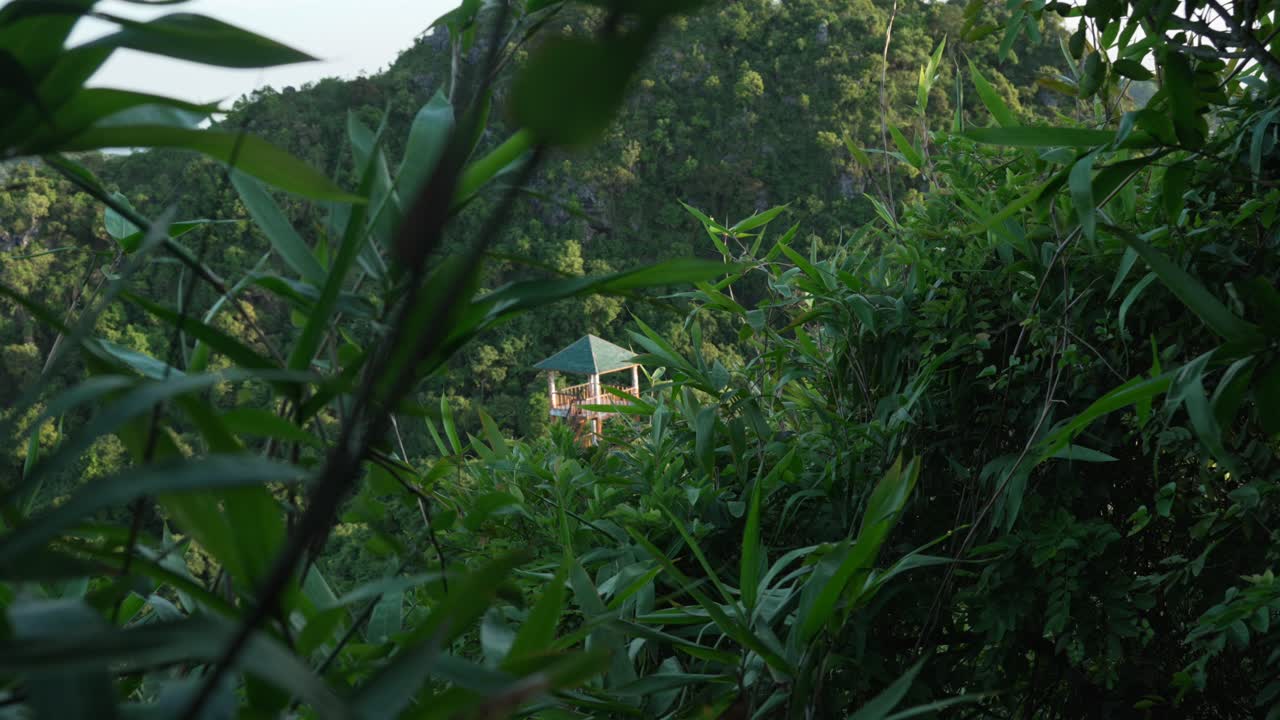 Watchtower Vietnam jungle forest Cat Ba national park heritage site observatory deck