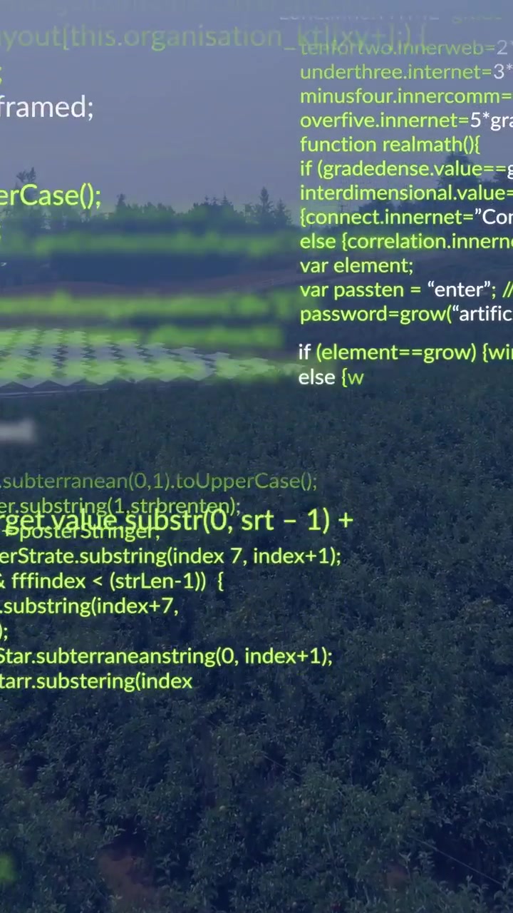 Video verticale: Collina boscosa che riceve linee di codice verdi e bianche dall'orizzonte per una demo tecnologica