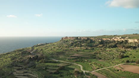 antena: acantilados rocosos cerca de verdes campos de arroz en malta en una tarde soleada durante el invierno
