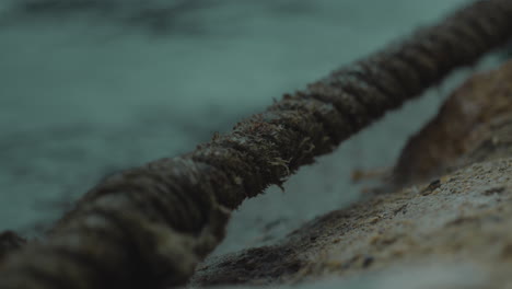 close up of marine knot rope on ocean sea pier dock harbour