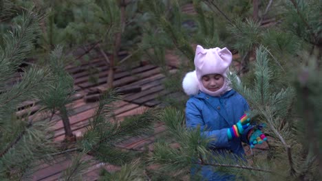 a cute little girl in a pine forest in the autumn time