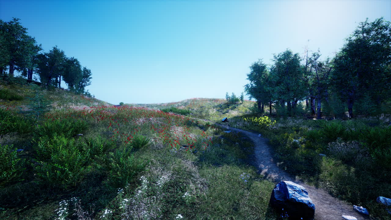 경치 좋은 산 들판 길