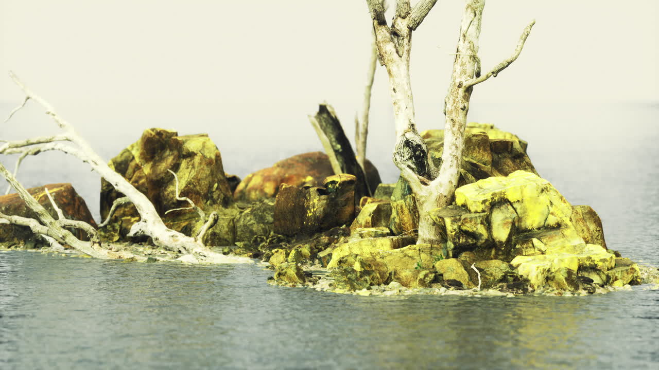 Isolated rocky island with weathered tree branches above still waters