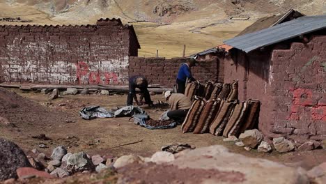 villagers sorting potatoes for packing