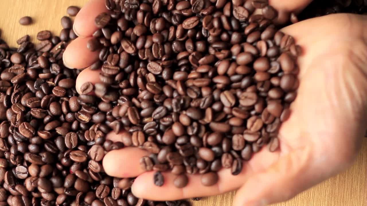 granos de café marrones asados en un montón con la mano almacen de video