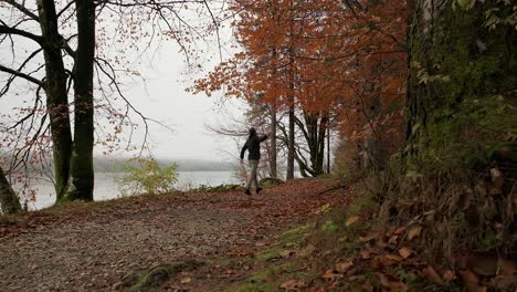 A-man-walking-next-to-a-lake-on-a-gravel-path-while-jumping-to-hit-tree-leaves-during-the-fall-season