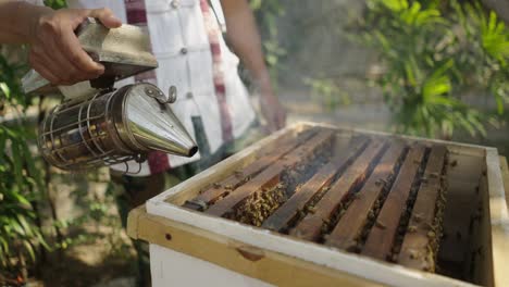 beekeeper using a smoker on a beehive
