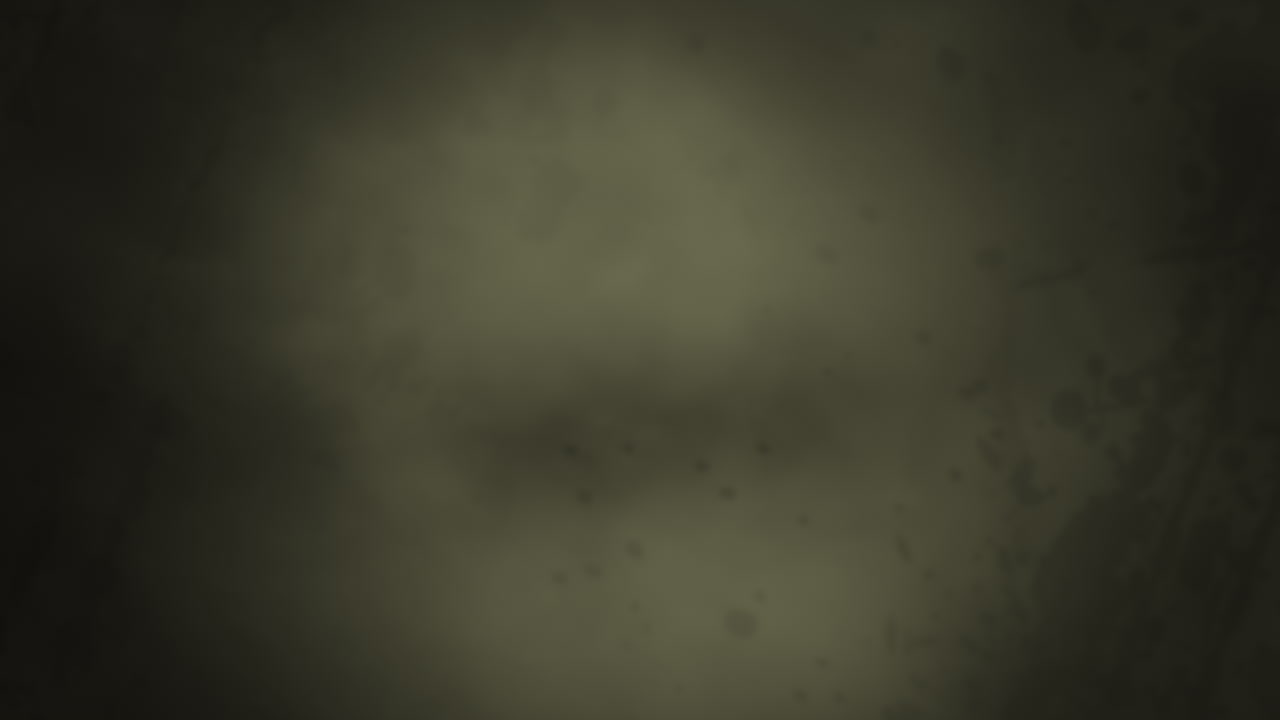 날씨에 싸인 벽이 어지고 질이 벗겨지는 페인트가 따뜻한 빛으로 목욕됩니다.