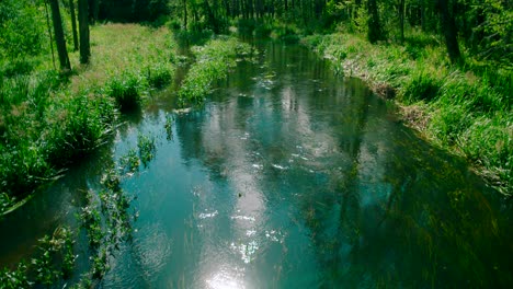 the clear water of the calm river is somewhere in the forest,reflection of the sun on the water