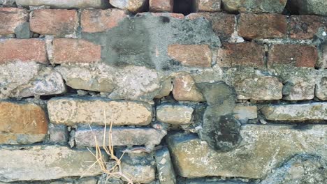 a detailed view of a rustic wall