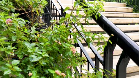 Plants-Next-to-Outside-Staircase-with-Rain-Falling-During-Monsoon-in-Bangkok