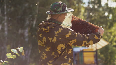 beekeeper inspecting honeycomb