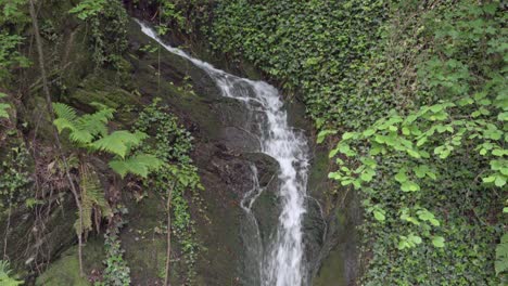 a small stream flows down over a rock in nature